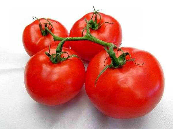 Variedade de Tomate Ultra erupção